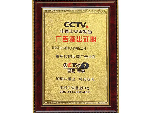 中央电视台广告播出证明