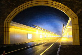 天鼎防水涂料K11防水胶系列,天鼎防水涂料911防水系列,怀化市天鼎防水涂料有限公司